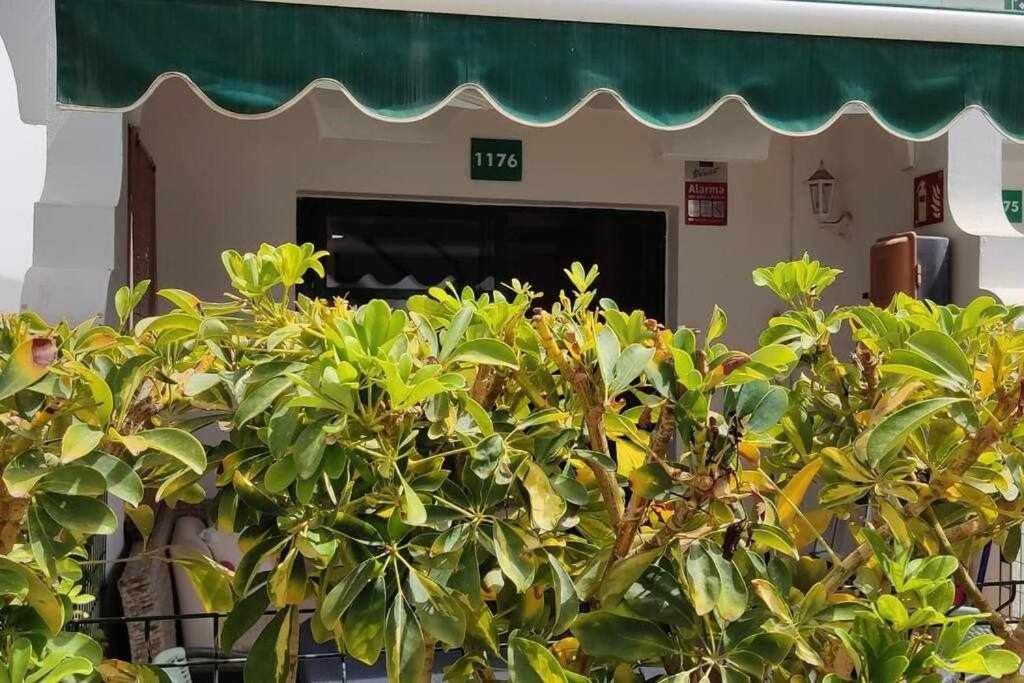 Raga Home - Bungalow With Swimming Pool In Maspalomas Maspalomas  Exterior photo